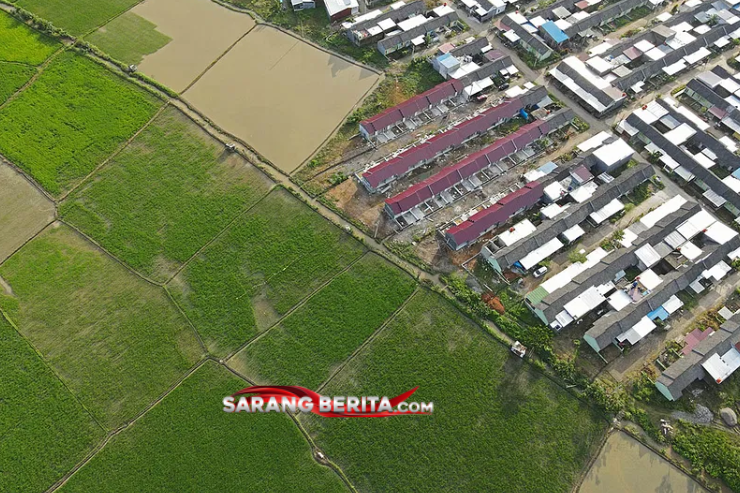 Asia Alami Fase Kritis Perampasan Tanah hingga Konflik Agraria