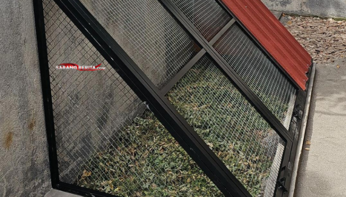 Model Kandang Ayam untuk Lahan Sempit