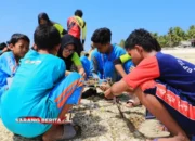 Terumbu Karang Diselamatkan! Warga Dapat Pelatihan Transplantasi