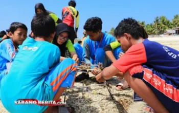 Terumbu Karang Diselamatkan! Warga Dapat Pelatihan Transplantasi