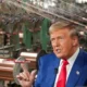 Dear Mr. Trump, AS Gak Bisa Bangun Industri Tembaga dalam Semalam