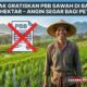 Lebak Gratiskan PBB Sawah di Bawah 0,5 Hektar: Angin Segar Bagi Petani!